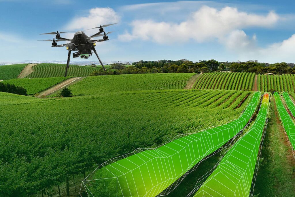 Drone Vignoble